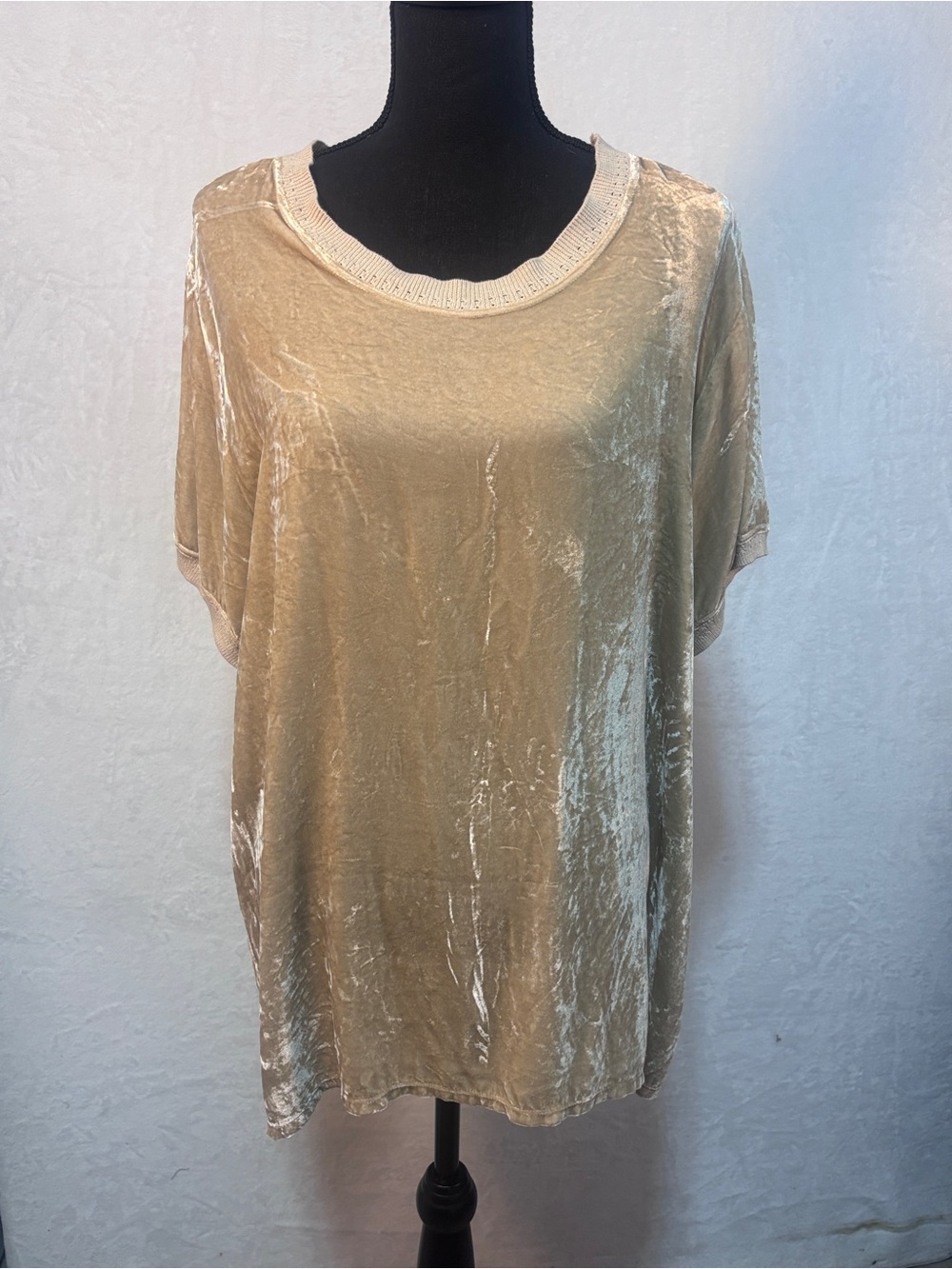 JWLA Johnny Was Mixed Media Silk Velvet Tan Oversized Top Medium